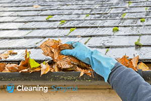 Gutter Cleaning Services Smyrna